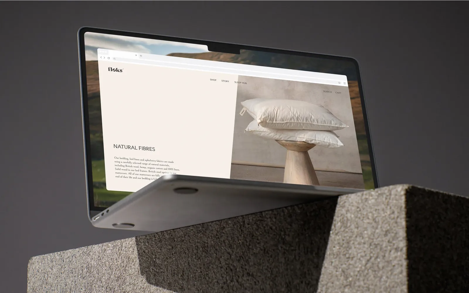 Floks — website on a laptop
